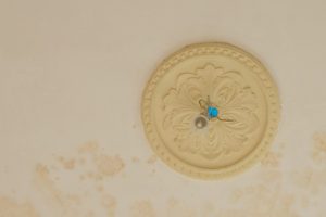 Gutshaus ehmkenhagen