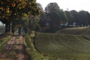 Weg nach Ludorf