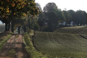 Landhaus gneve 4