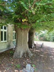 Gutshaus schwarbe