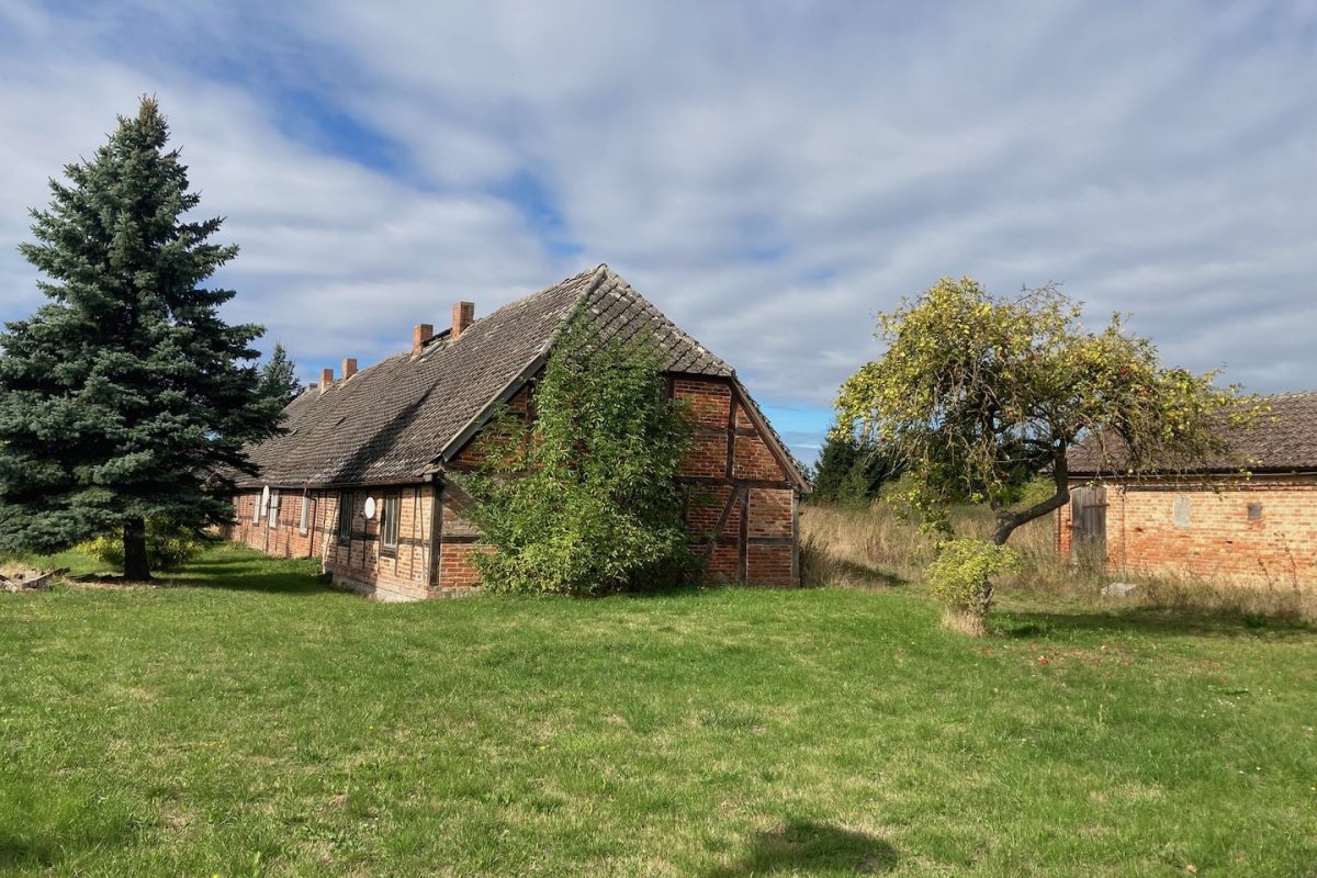 Gutskaten gross vielen