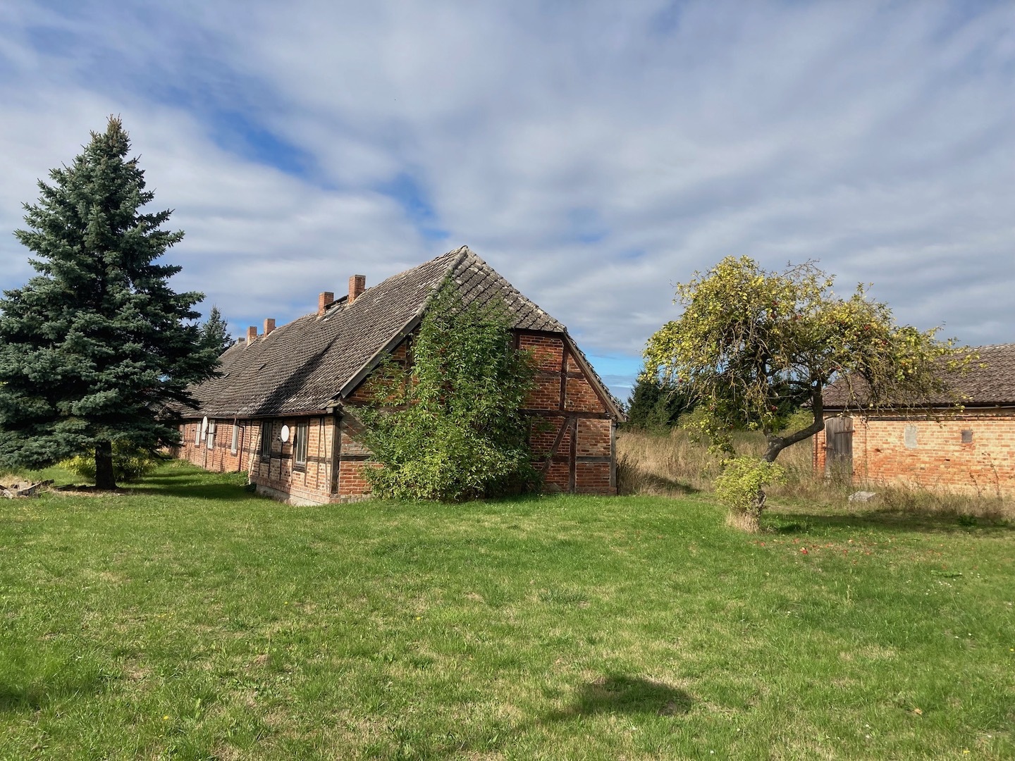 Gutskaten gross vielen