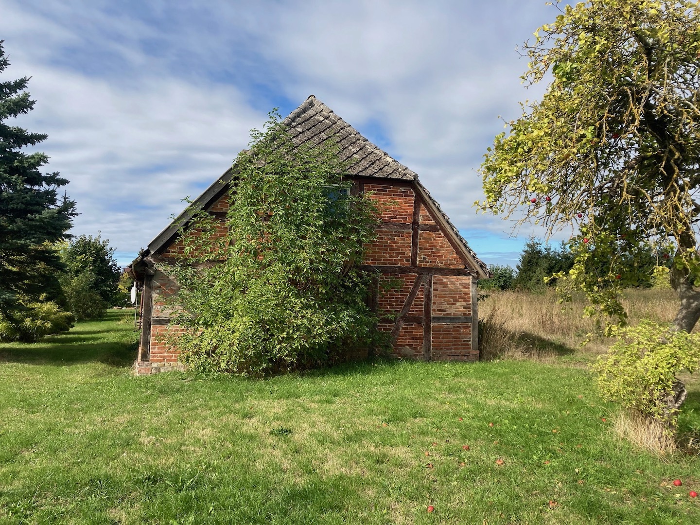 Gutskaten gross vielen